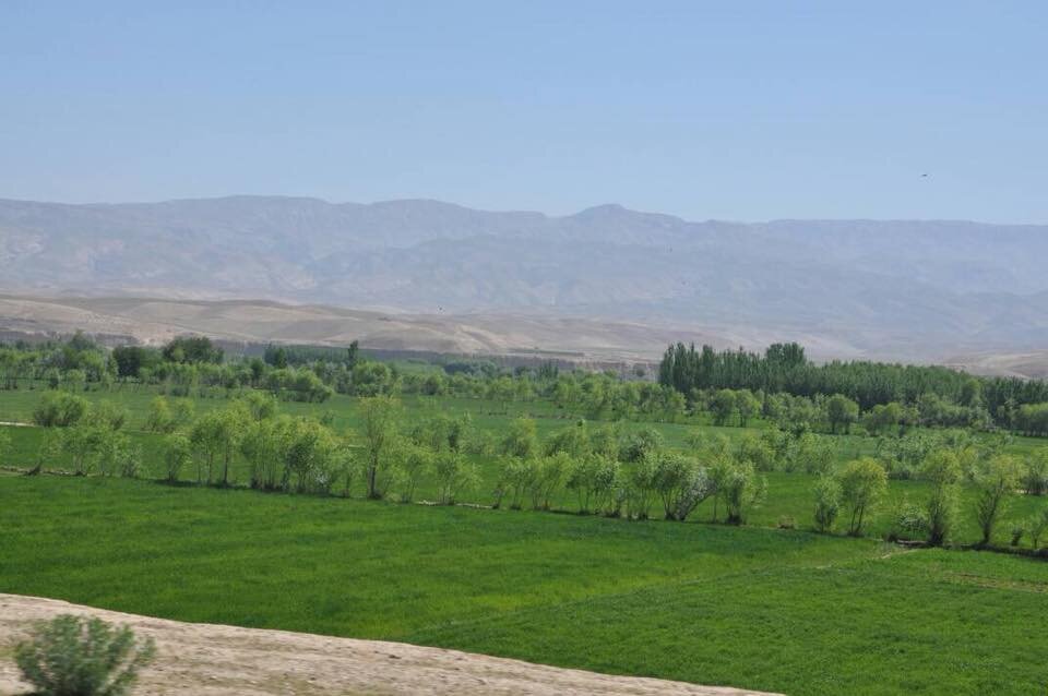 شیعیان استان بلخ افغانستان از اسکان مهاجران ناشناس توسط طالبان اظهار نگرانی می‌کنند