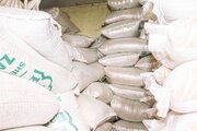 Photos: Distribution of food items to needy by Sheikh Zakzaky office