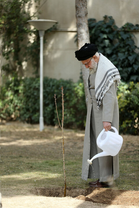 کاشت سه اصله نهال توسط رهبر انقلاب در روز درختکاری