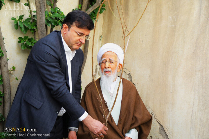 Photos: Grand Ayatollah Javadi Amoli plants saplings on National Tree Planting Day