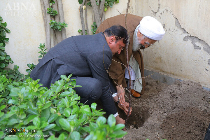 Photos: Grand Ayatollah Javadi Amoli plants saplings on National Tree Planting Day