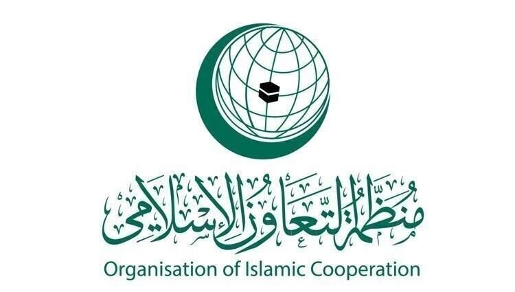 OIC adopts Egypt’s Gaza reconstruction plan