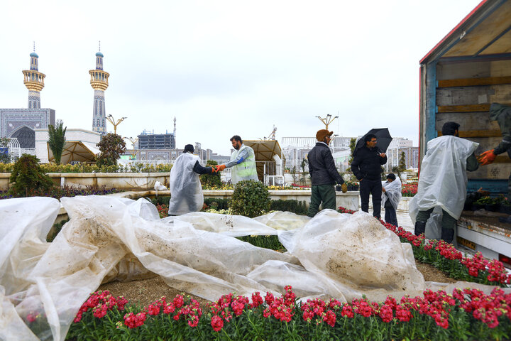 Photos: Imam Reza Holy shrine, servants welcome spring