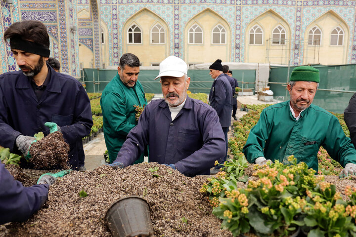 Photos: Imam Reza Holy shrine, servants welcome spring