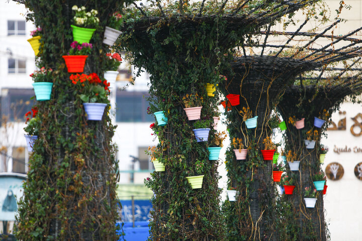 Photos: Imam Reza Holy shrine, servants welcome spring