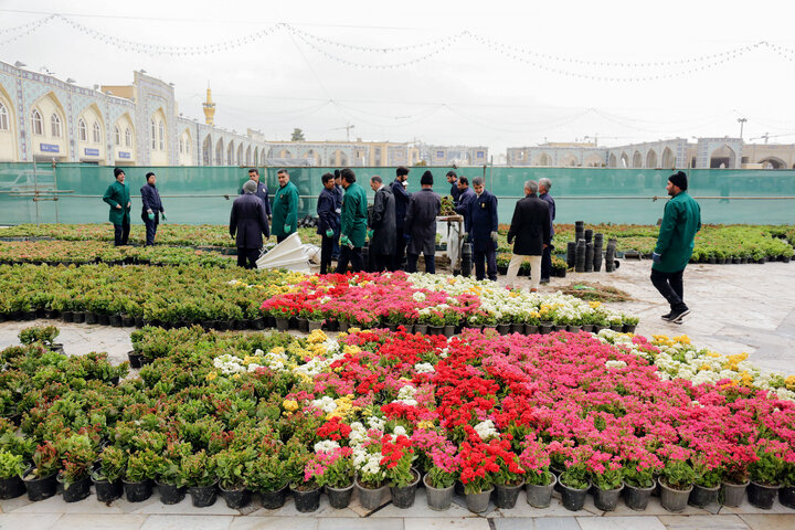Photos: Imam Reza Holy shrine, servants welcome spring