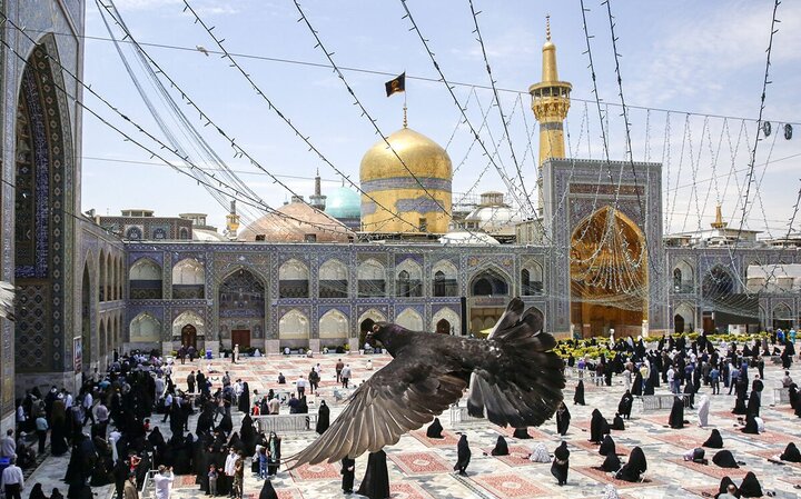تشرف یک میلیون و ۶۰۰ هزار زیارت اولی به حرم مطهر رضوی 