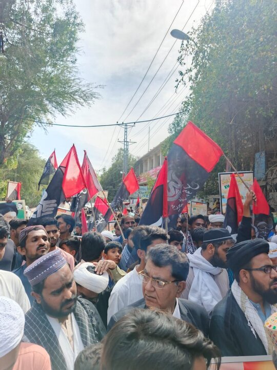 Photos: International Quds Day rally in Hyderabad, India