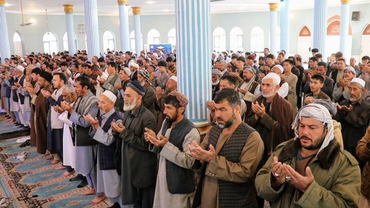 پلخمری