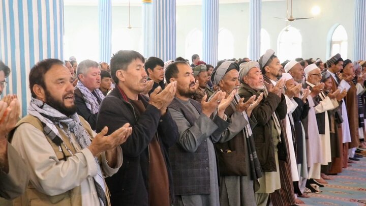 پلخمری