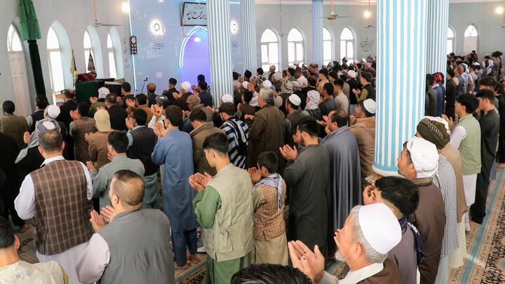 پلخمری