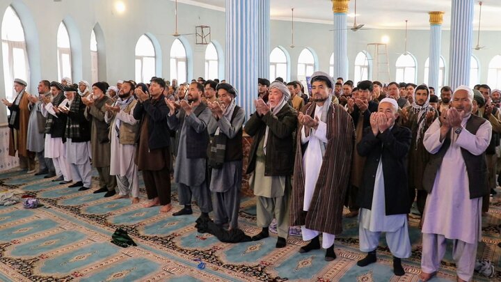پلخمری