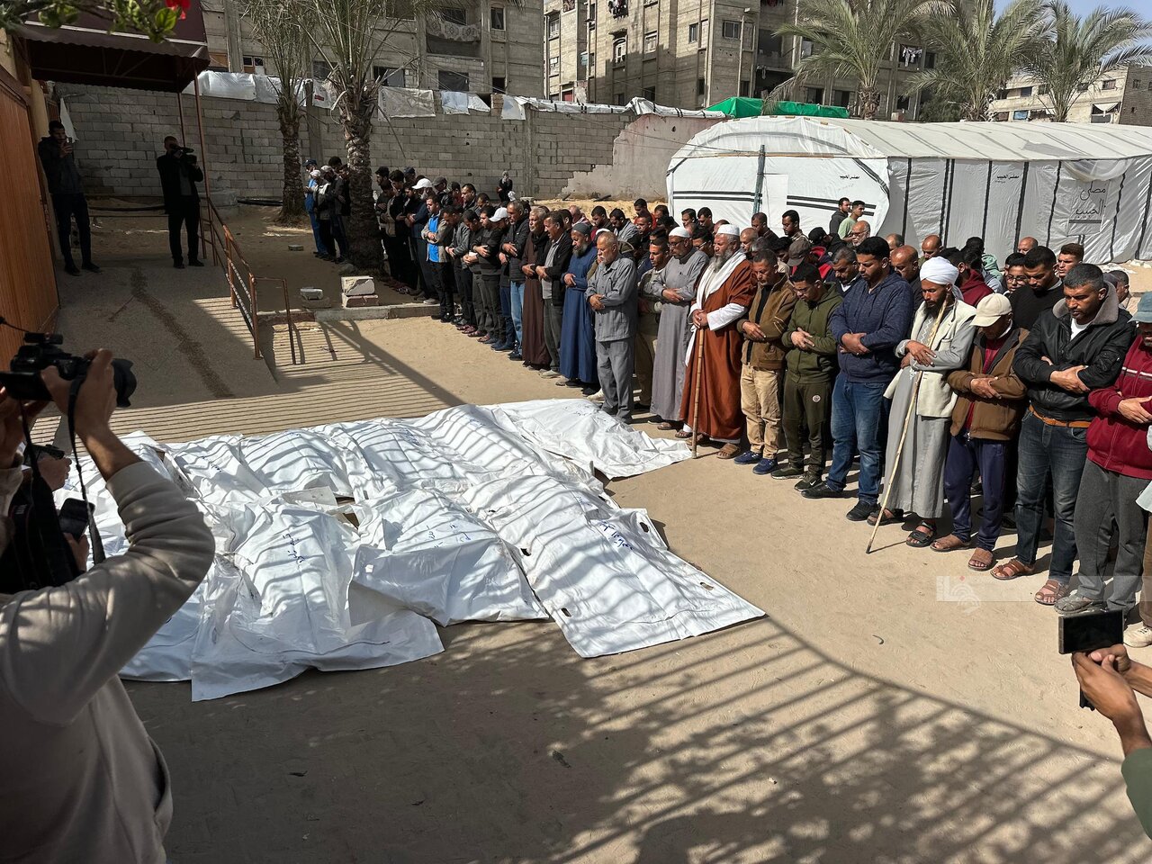 24 Palestinians martyred, 55 injured in Gaza in the past 24 hours