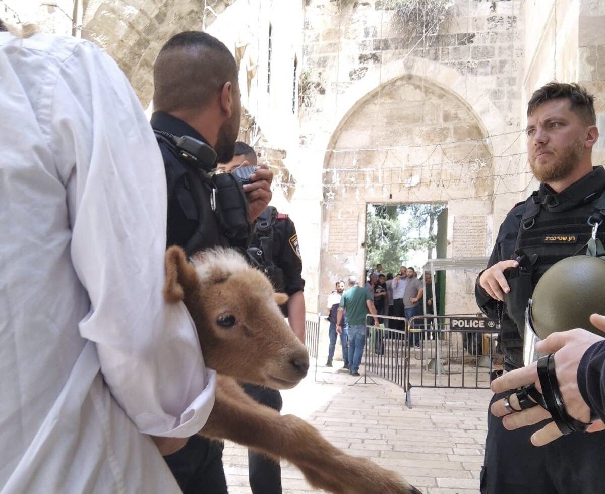 Hamas: Settlers’ calls to slaughter sacrifices in Al-Aqsa serious escalation