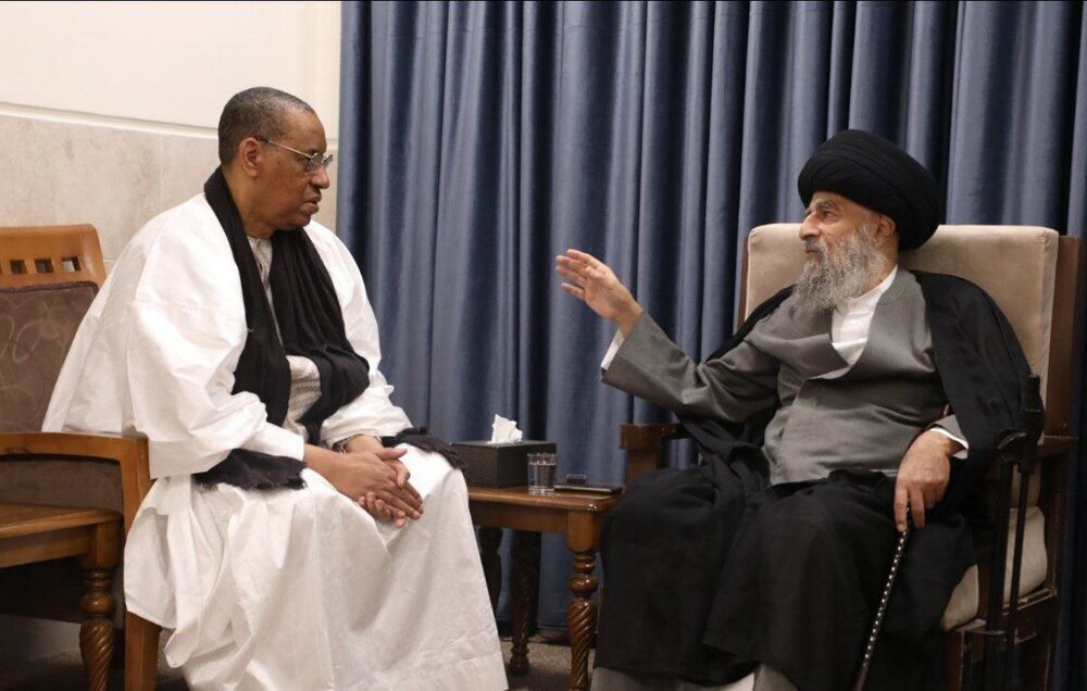 Ayatollah Modarresi stresses need for moderation in promoting school of AhlulBayt