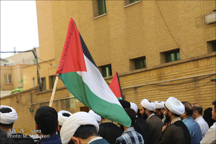 تجمع دانشگاه معارف