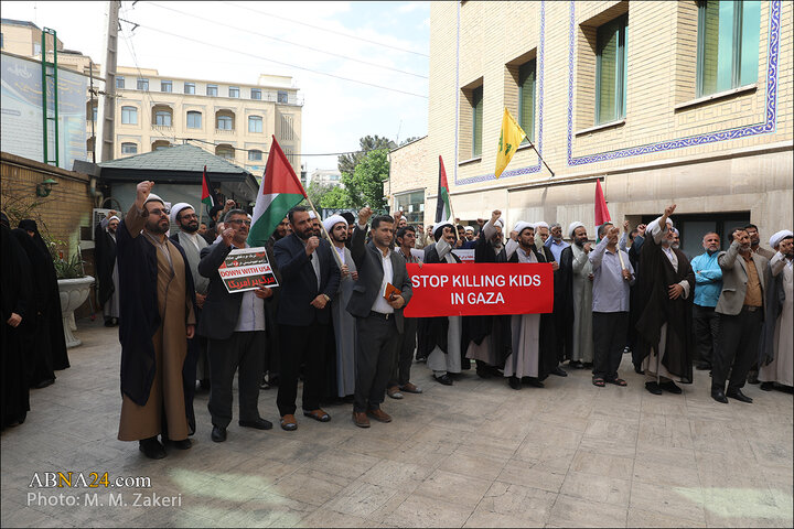 تجمع دانشگاه معارف