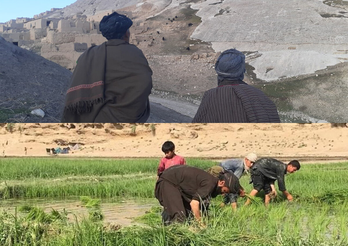 روستاهای شیعه‌نشین استان بلخ؛ از کمبود آب آشامیدنی در «شانجیر» تا شالی‌زارهای حاصل‌خیر در «خواجه سکندر»