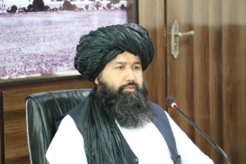 وزیر تحصیلات عالی طالبان، رهبر این گروه را «خلیفه خدا و پیامبر» خواند