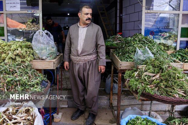 Bazara giyayên biharê li Senandec ê
