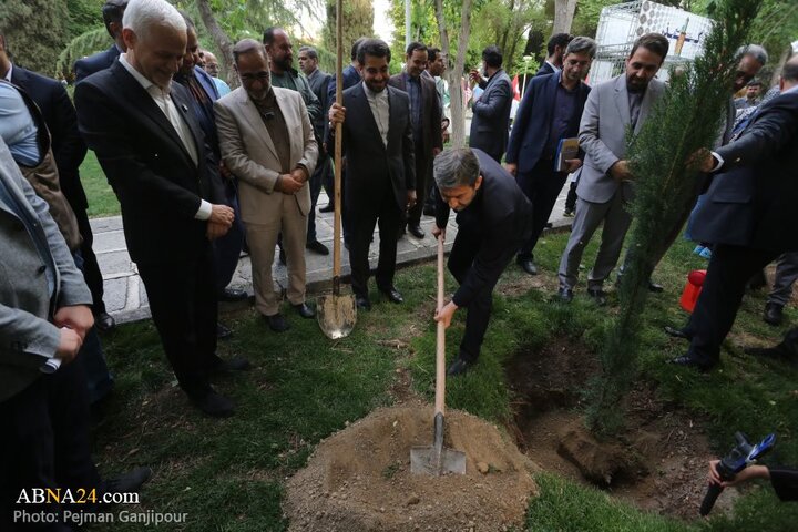 کاشت درخت صلح در اصفهان