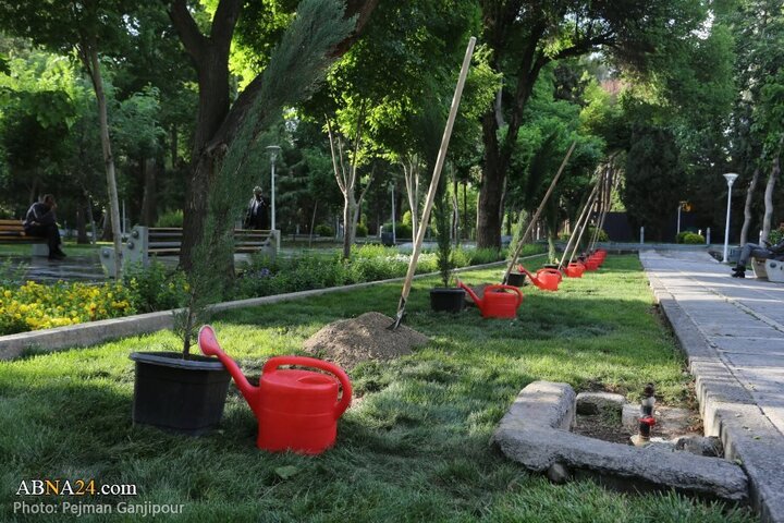 Photos: Peace tree planted by guests of third international Iran-Africa summit in Isfahan