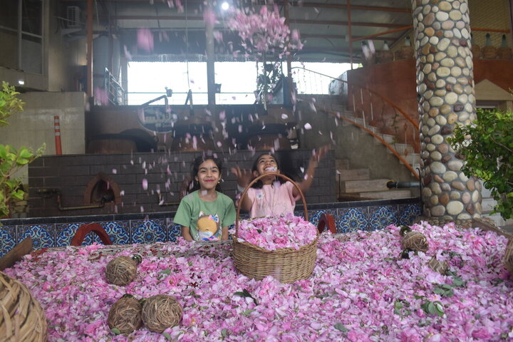 Photos: Damask rose harvest in Meymand, Fars, with donation of 2,000 liters of rose water to Imam Reza holy shrine