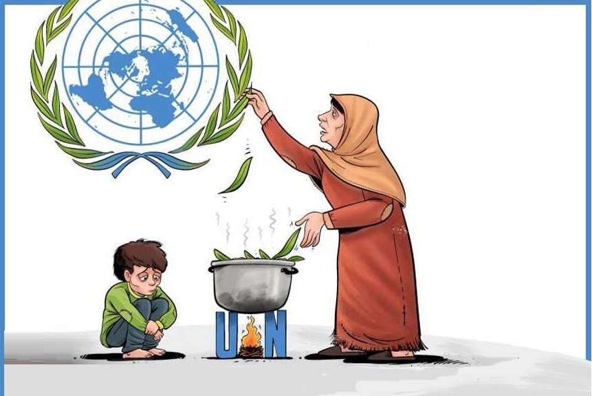 Acute malnutrition soars among Gaza’s young children - UNICEF