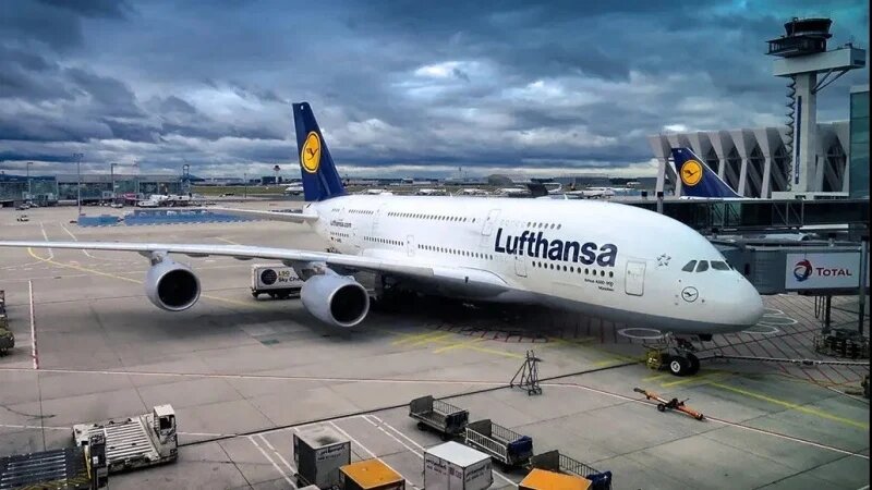 Which airlines have suspended flights to Occupied Territories?