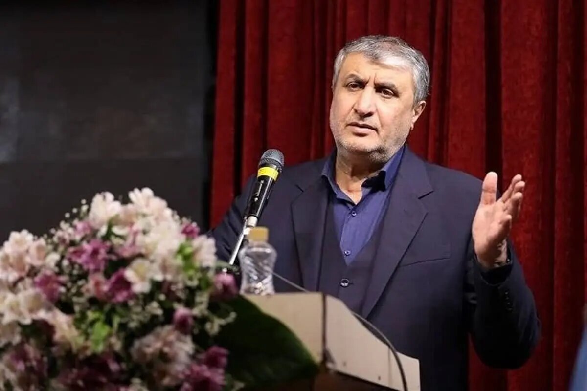 AEOI chief: Iran's nuclear progress will not be stopped despite sanctions