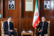 Iranians view Iraqi Kurdish people as brothers: Pres. Pezeshkian
