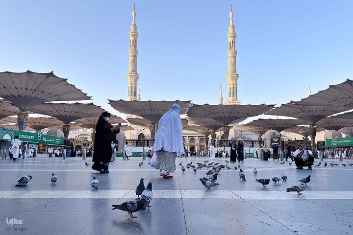Medina