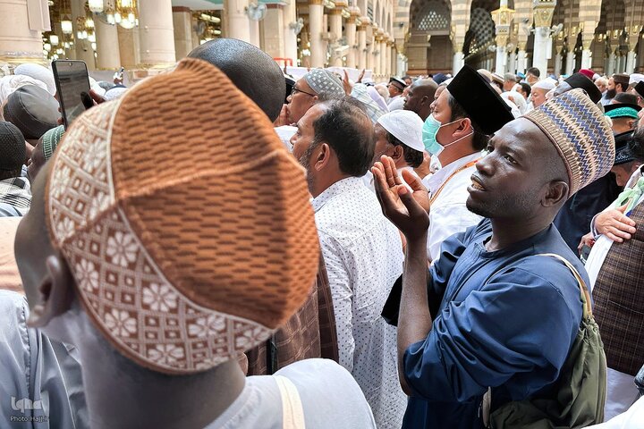Medina