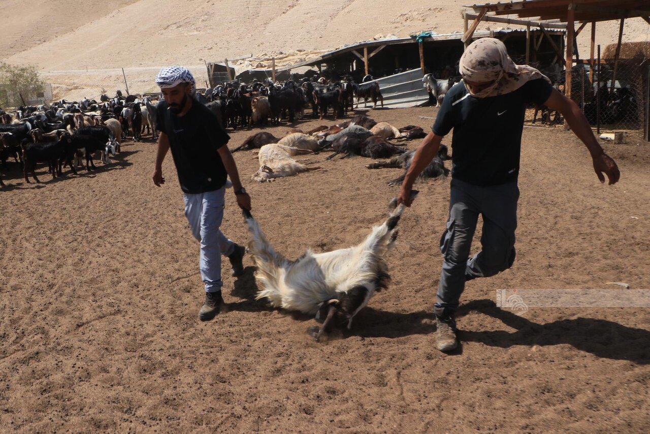 Extremist Israeli settlers storm Palestinian school and destroy property in Jericho