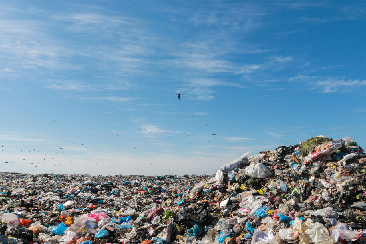 Gaza Municipality warns of environmental disaster as waste crisis worsens