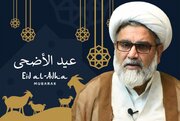 Eid al-Adha a powerful symbol of Islamic devotion – Pak Senator