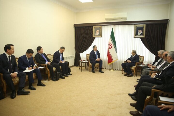 Iran's Velayati: Strengthened regional institutions key to overcoming security threats