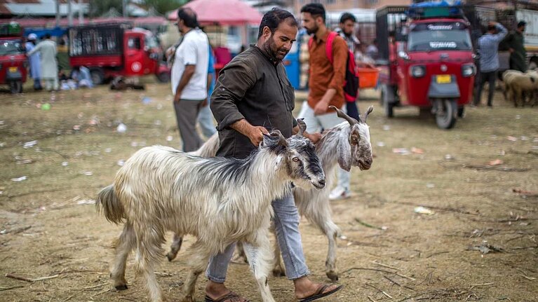 Muslim organisations in Mumbai distribute sacrificial meat between needy people 