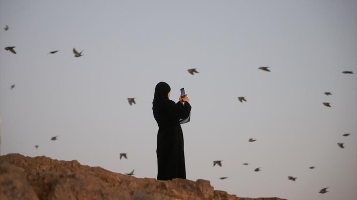 گزارش تصویری | زیارت اماکن مقدس مدینه