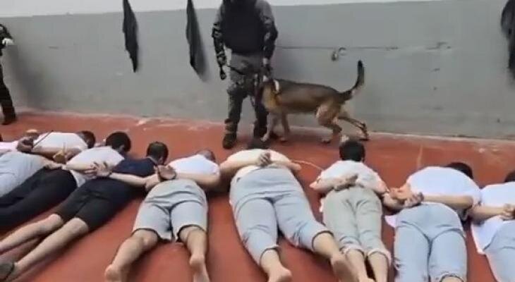 Palestinian prisoners face violent crackdown in Israeli detention centers