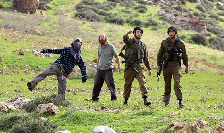 Settlers destroy crops and seize water well in Masafer Yatta