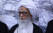 Grand Ayatollah Bashir Al-Najafi condemns Gaza atrocities, calls for global action
