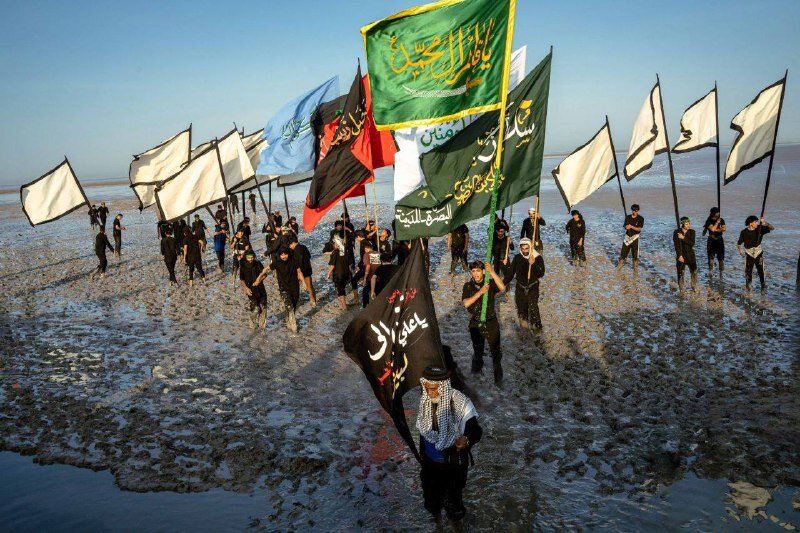 Mofid app launches free housing reservation system for Arbaeen pilgrims