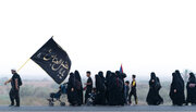 Role of Women in Cultural Diplomacy of Arbaeen: An International Approach
