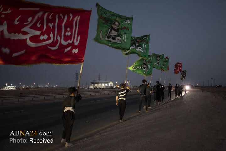 Zaer