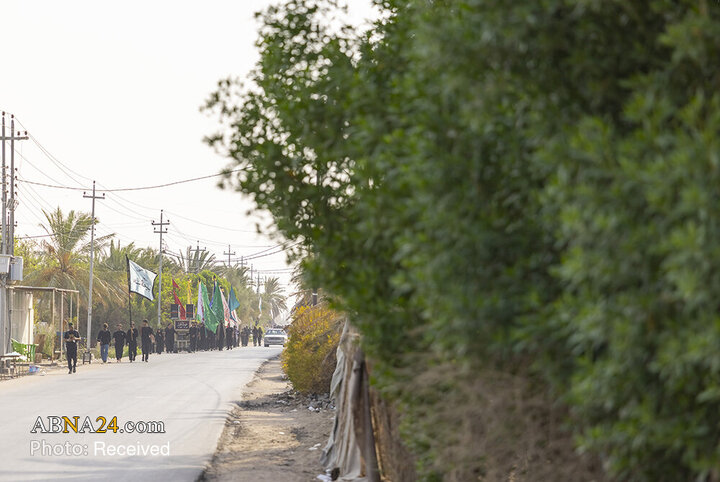 Zaer