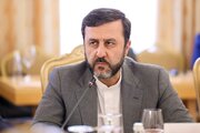 Gharibabadi: Ireland's Decision to Ban Imports from Israeli Settlements Is a Commendable Step