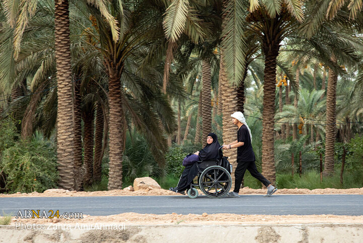 Ulema