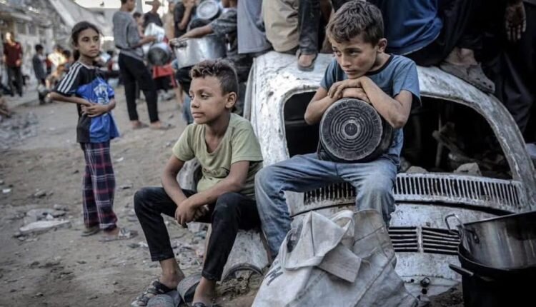 Argentine photographer to join humanitarian mission to Gaza