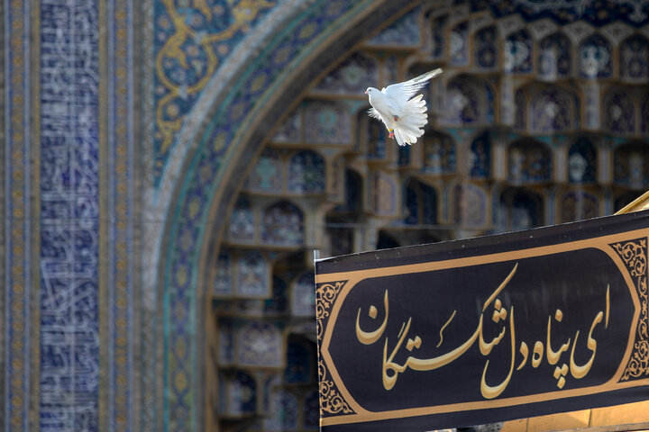 Photos: Imam Reza mourning processions held at Razavi shrine